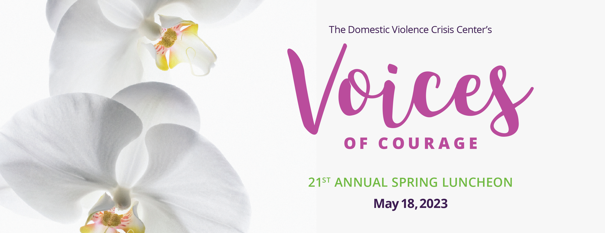 DVCC's Voices of Courage 21st Annual Spring Luncheon
